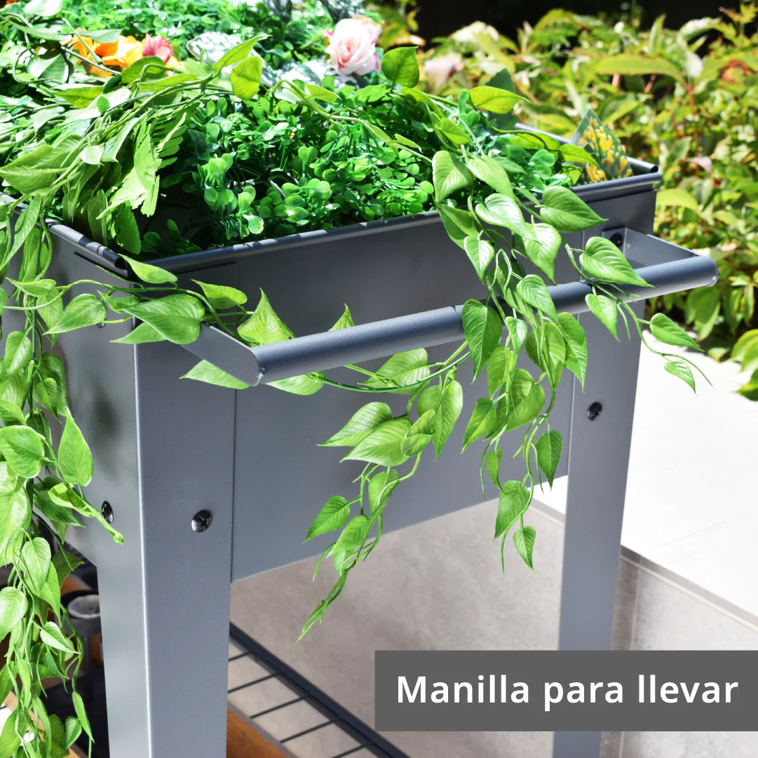Imagen del producto 5