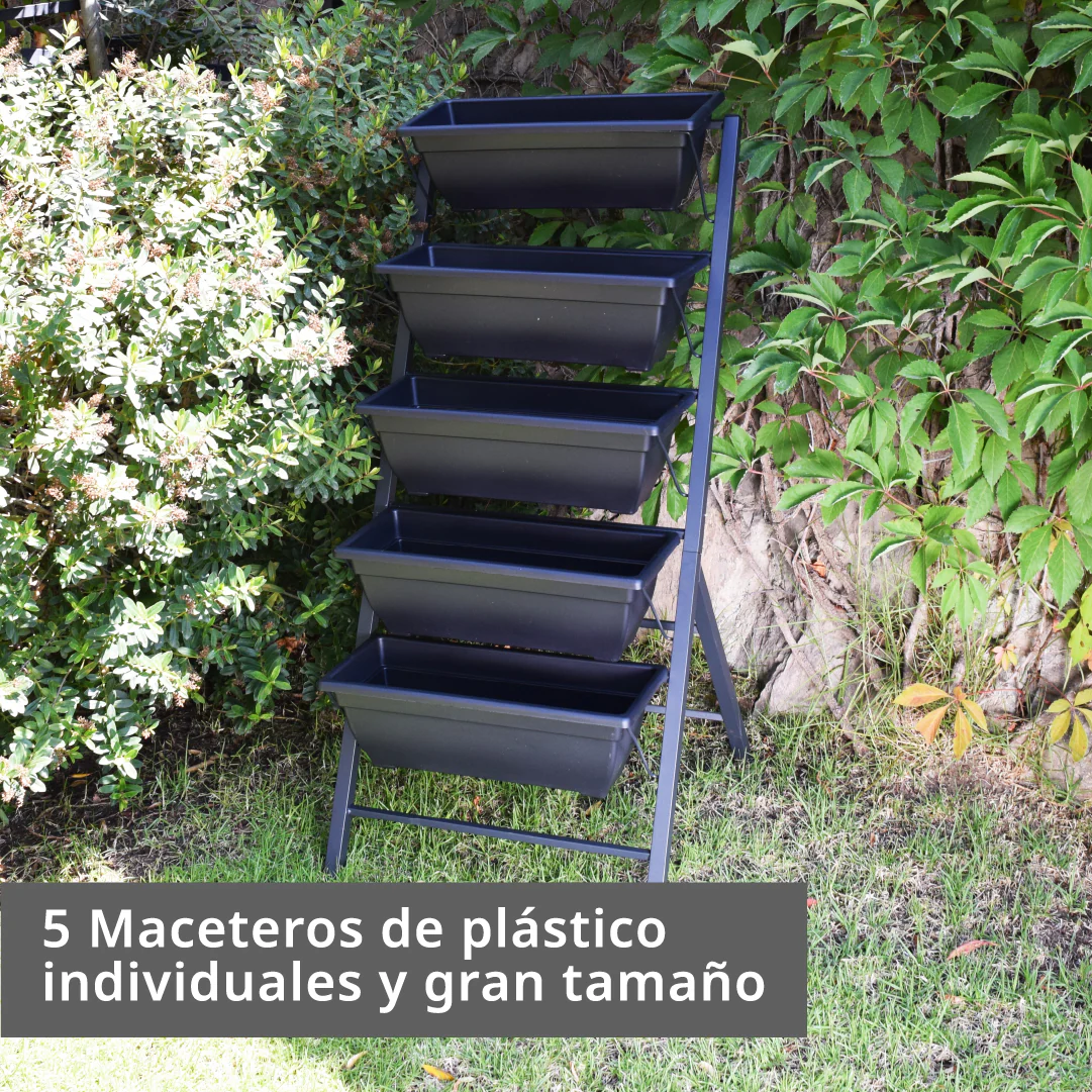 Imagen del producto 6